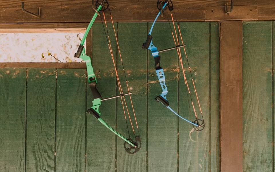 Limb-Driven Arrow Rests and Extended Shaft Support