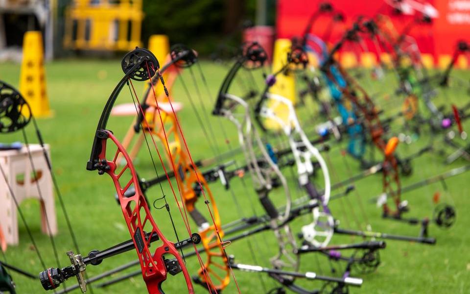 Navigating Bows for Sale Online Versus Pro Shops