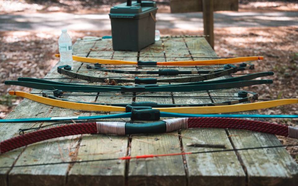 Deciding Between Recurve and Compound Platforms