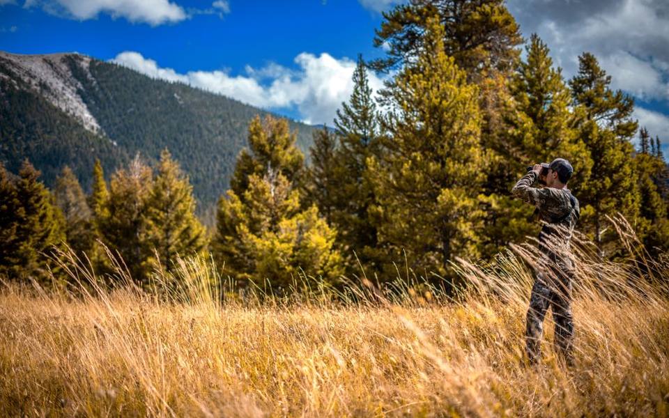 Studying Hunting Footage to Understand Deer Behavior